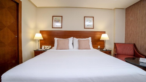Crowne Plaza Riyadh Palace, an IHG Hotel image 36
